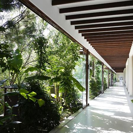 The Lifeco Bodrum Well-Being Detox Center And Vegan Hotel (Adults Only) Göltürkbükü Buitenkant foto