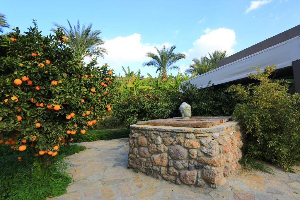 The Lifeco Bodrum Well-Being Detox Center And Vegan Hotel (Adults Only) Göltürkbükü Buitenkant foto